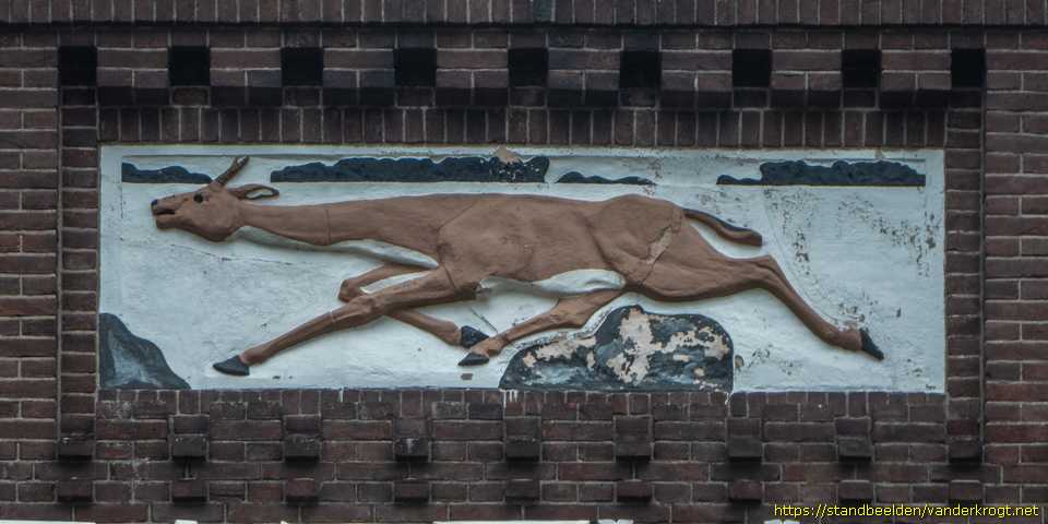 Dieren - Gazelle