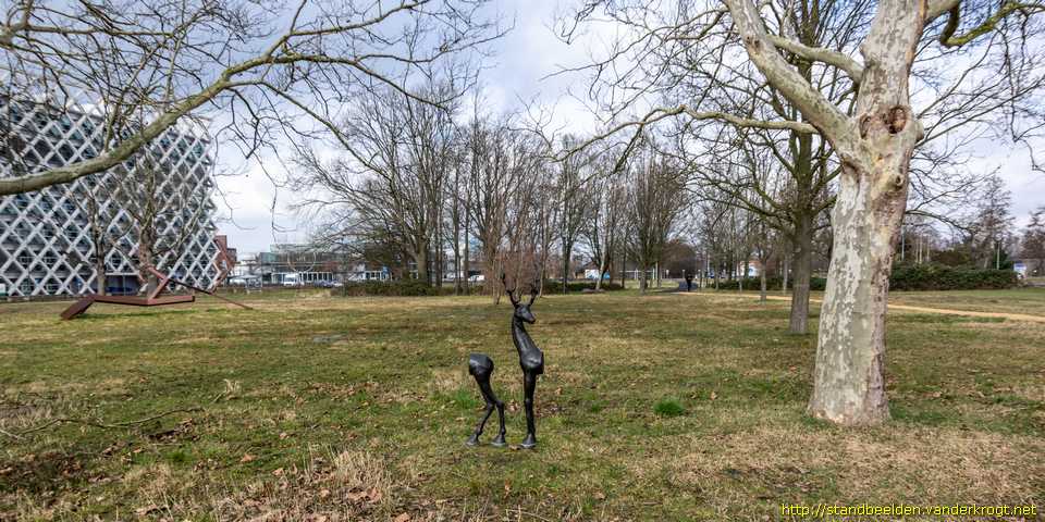 Wageningen - Tweedelig hert (Actaeon)