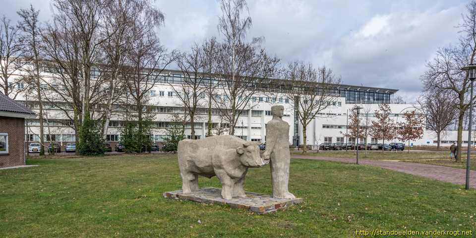 Wageningen - Man met stier