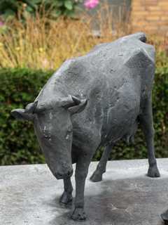 Ysselsteyn - Peelboer