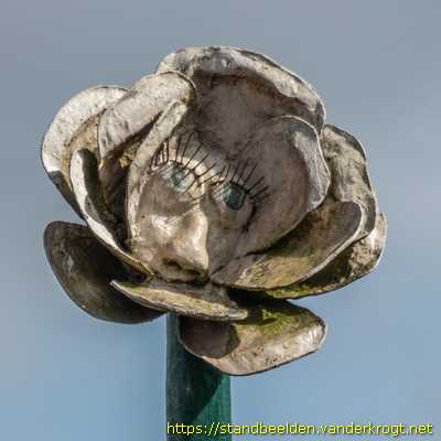 Breda - La Rose di Rosa