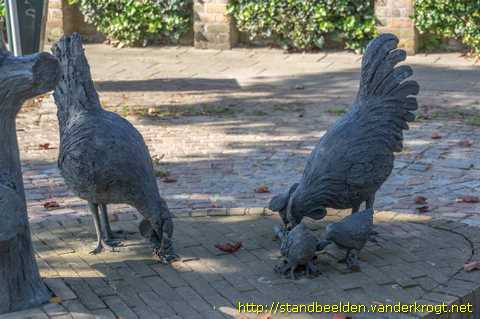 Haps - Haan, kippen en kuikens