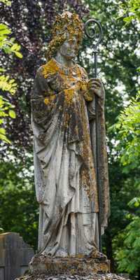Sint Oedenrode - Acht heiligenbeelden