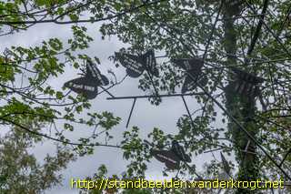 Purmerend - Vlindergedachtenisboom