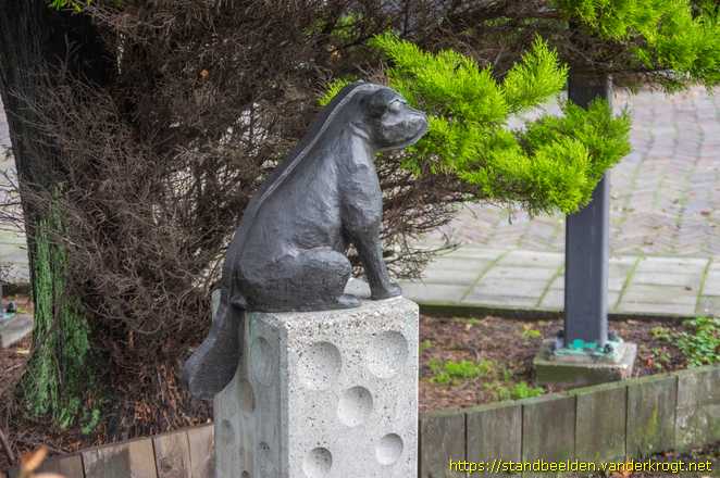 IJmuiden - Bever