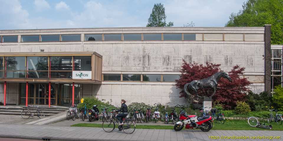 Enschede - Paard
