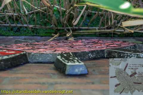Veenendaal - Watermonsters