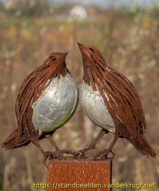Barendrecht - Vogels