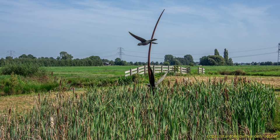 Berkenwoude - Zwarte Sterns