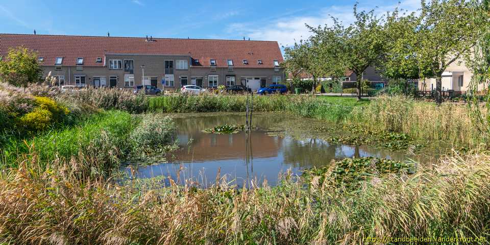 Numansdorp - Rietstengels