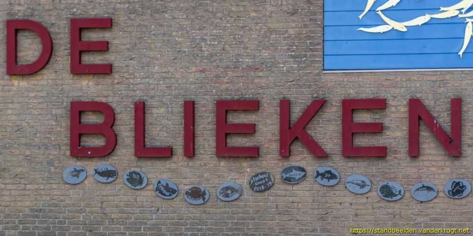 Klaaswaal - Blieken en andere vissen