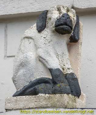 Den Haag - Dieren