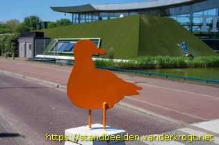 Den Haag - Meeuwen op meerpalen