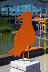Den Haag - Meeuwen op meerpalen