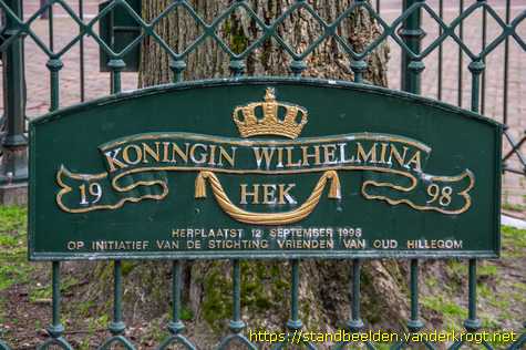 Hillegom - Wilhelminaboom