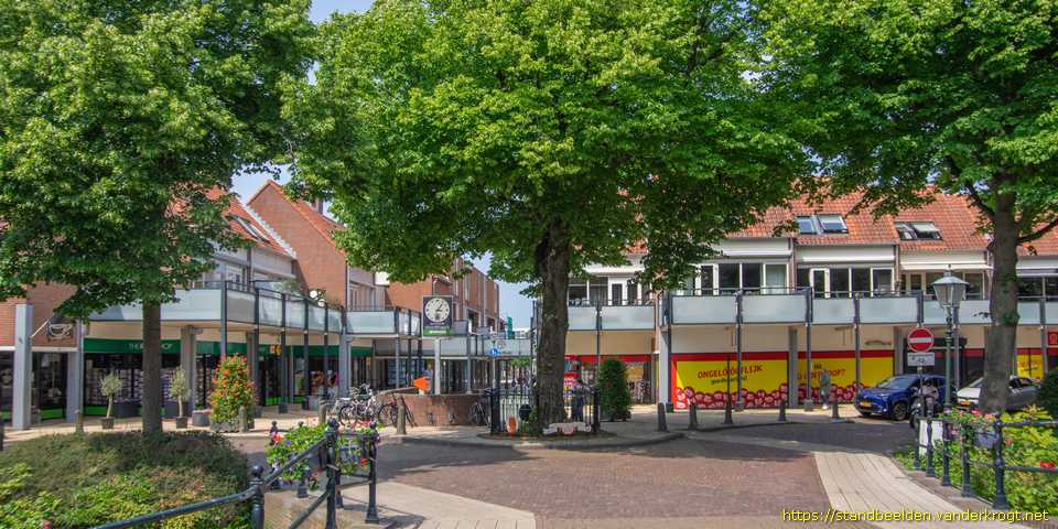 Rijnsburg - Wilhelminaboom