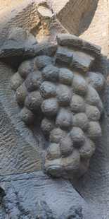 Leiden - Ontwikkeling, voorspoed en beschaving van Leiden