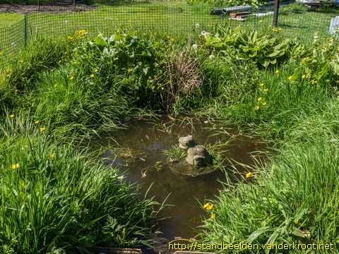 Leidschendam - Kikkers