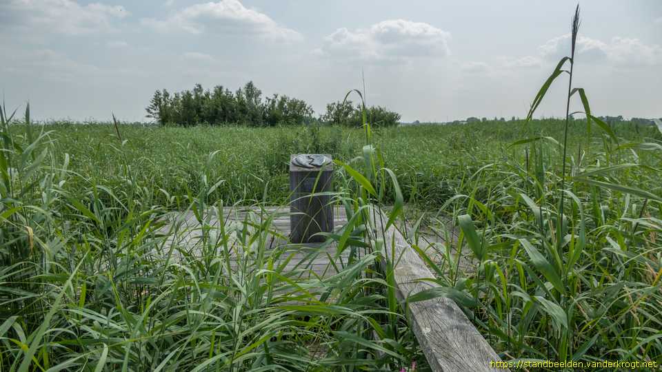Schipluiden - Nieuw Landschap