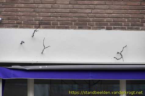 Rotterdam - Van Vlinderbuurt tot Takkenwijk