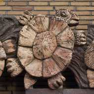 Rotterdam - Negen dieren