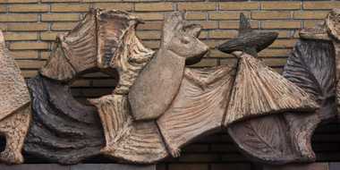 Rotterdam - Negen dieren