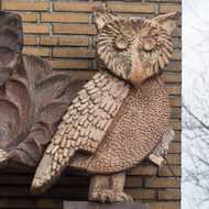Rotterdam - Negen dieren