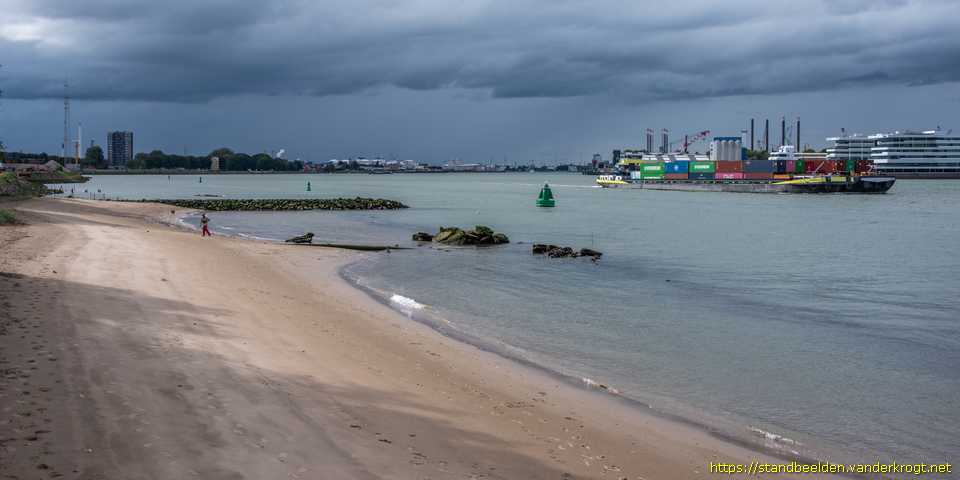 Rotterdam Heijplaat - Zeehond