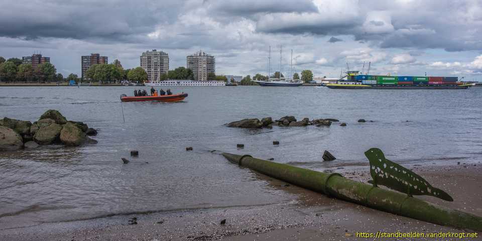 Rotterdam Heijplaat - Zeehond