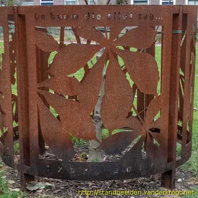 Schiedam - Boombeschermer Anne Frankboom