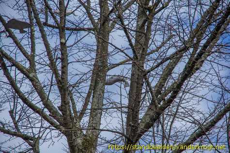 Schiedam - 't Kramsiv