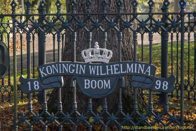 Schoonhoven - Wilhelminaboom