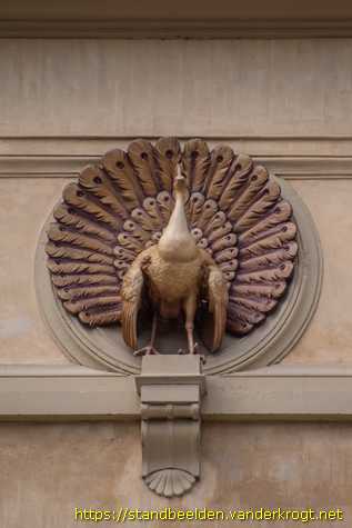 Wassenaar - Vijf Pauwen