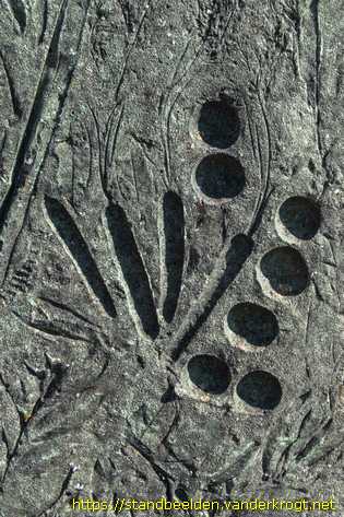 Honselersdijk - Nieuw Gantel