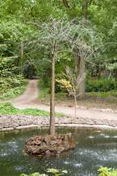 Eeuwig Leven of De Levensboom, Heilig Landstichting