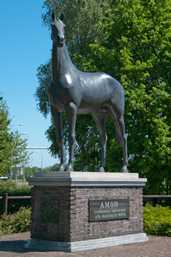 Fokhengst Amor, Heelweg