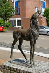 Veulen, Maassluis
