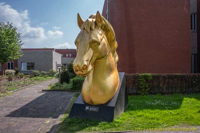 Dendermonde /  Paardenkracht in Dendermonde