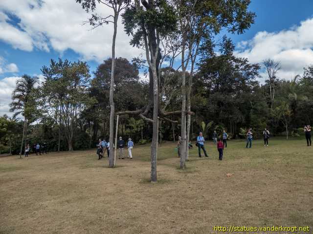 Brumadinho /  Elevazione