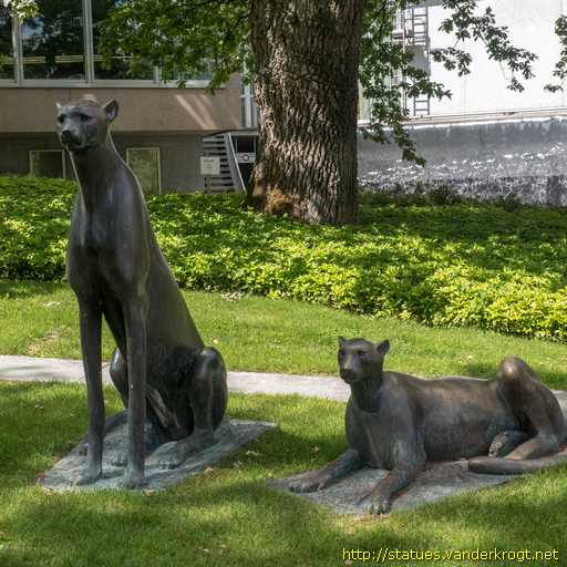 Genève /  Guépards