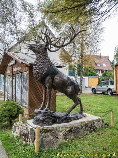 Bitz /  Hirsch