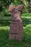 Torso