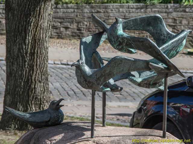 Bergen auf Rügen /  Möwen