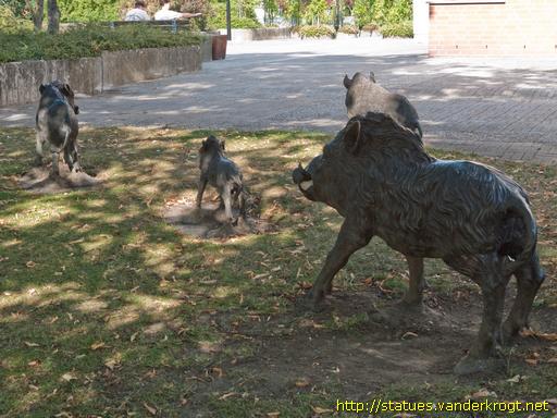 Salzgitter-Bad /  Vier Wildschweine