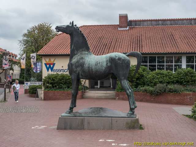 Nienburg/Weser /  Wiehernder Hengst