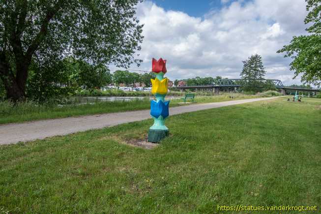 Haren (Ems) /  Primär Colour Tulipa