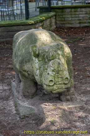 Rheine / Nashorn