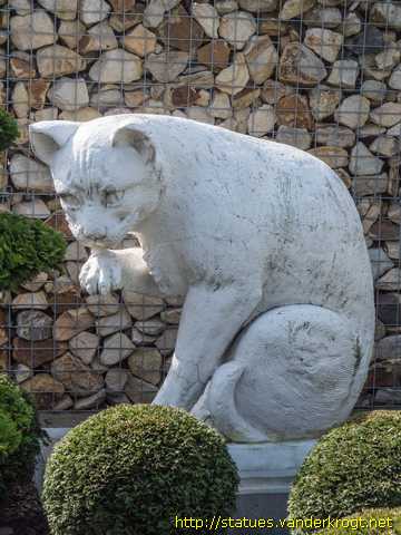 Bad Salzuflen /  Katze