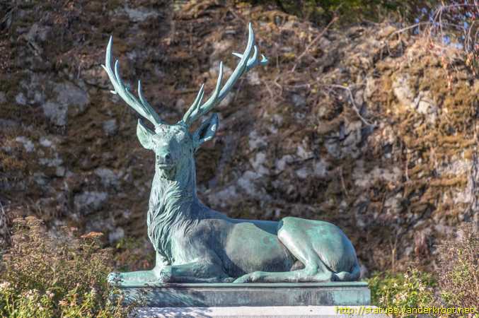 Bad Laasphe /  Liegende Hirsch