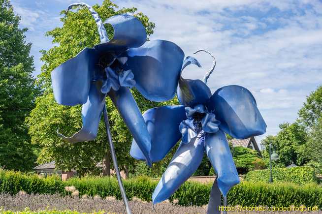 Rees /  Delfinium ferro